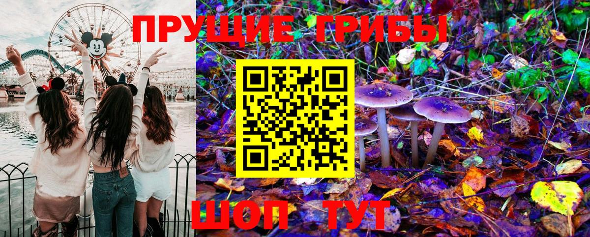 Галлюциногенные грибы Psilocybine cubensis  Галлюциногенные грибы MAGIC MUSHROOMS  Кимры  Вход с VPN 
