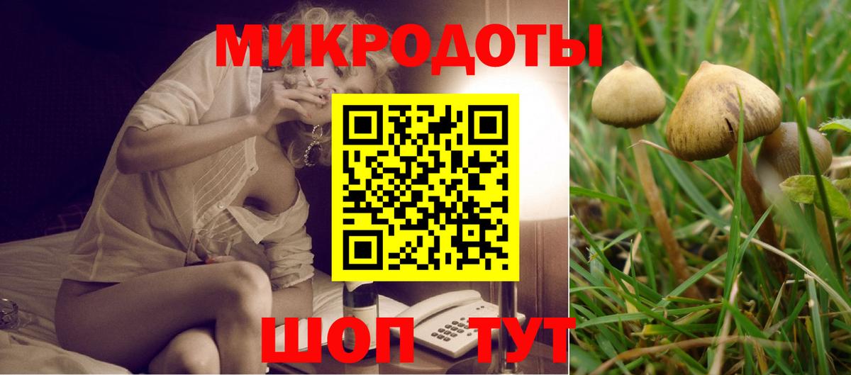 Галлюциногенные грибы Psilocybine cubensis Кимры