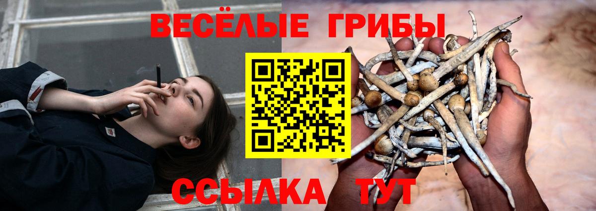Мефедрон Кимры