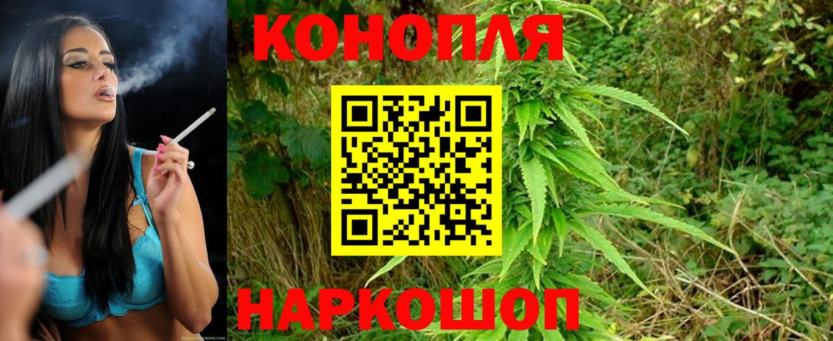 Конопля OG Kush Кимры